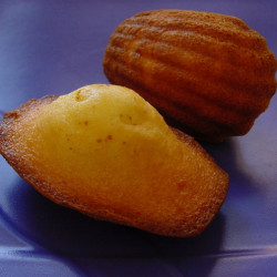 Madeleines