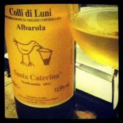 Azienda Agricola Santa Caterina Albarola 2011