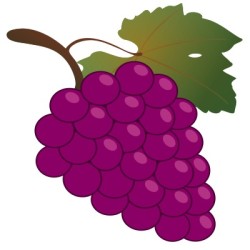 Buone notizie per il Montepulciano in Abruzzo