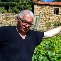 Testalonga Rossese di Dolceacqua 2011 di Antonio Perrino