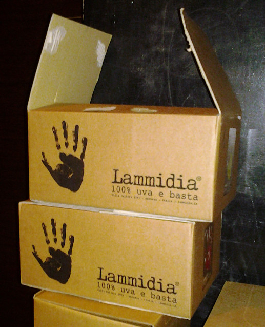 lammidia