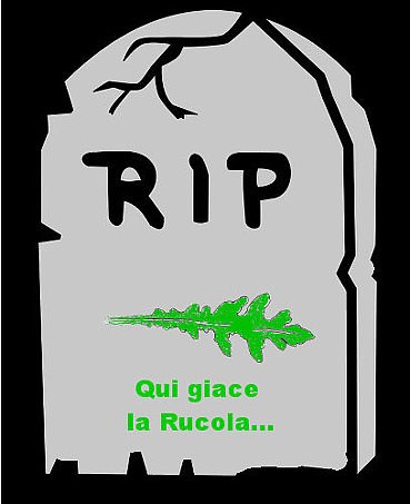 qui giace la rucola