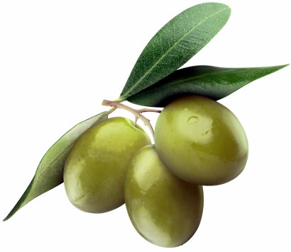 qualità dell'olio olive 2
