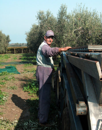 Olio Extravergine LuMè antonio villani
