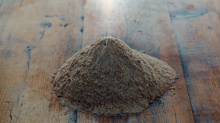 Bio talebane 1