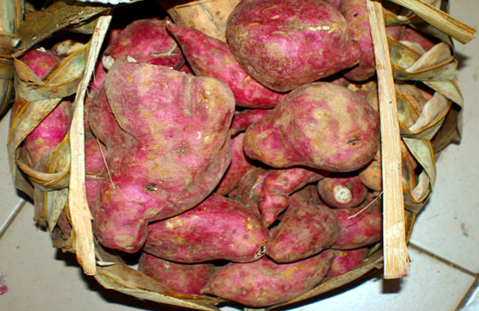 batata cesto