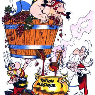 alla ricerca del buon vino asterix