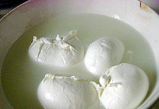 le strade della mozzarella 2016 mozzarelle