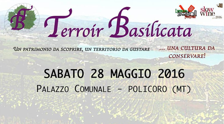 terroir basilicata