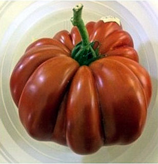 serena manzoni pomodoro 1