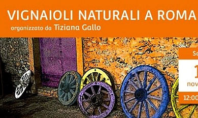 vignaioli naturali a roma 2016