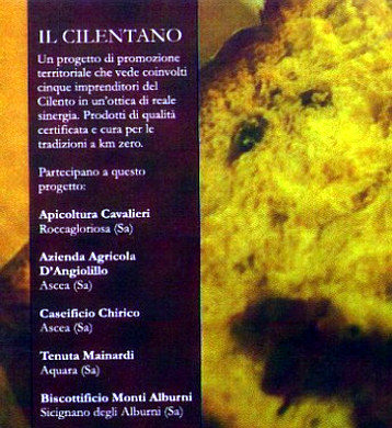 panettone cilentano il progetto