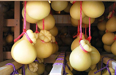 cinquanta sfumature di caciocavallo