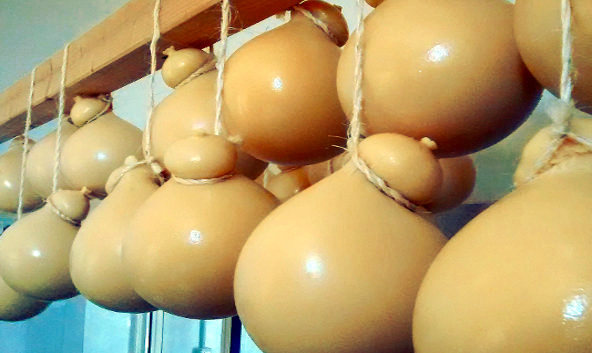 cinquanta sfumature di caciocavallo