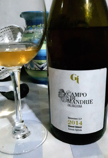 Falanghina Campo di Mandrie