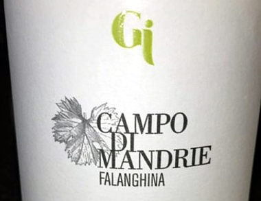 Falanghina Campo di Mandrie 2014 etichetta