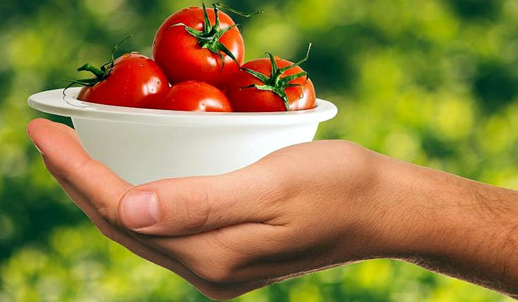 salutisti da spiaggia pomodori bio