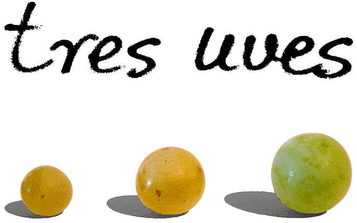 Tres uves 2013 etichetta