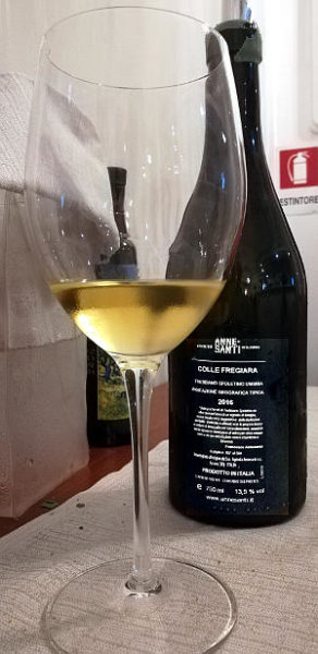 Colle fregiara 2016 trebbiano Sopletino calice e bottiglia