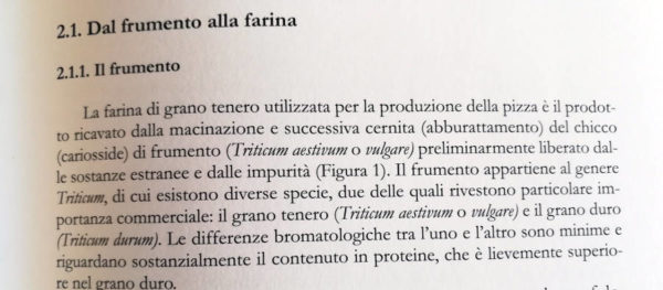 la pizza napoletana libro dal frumento alla farina