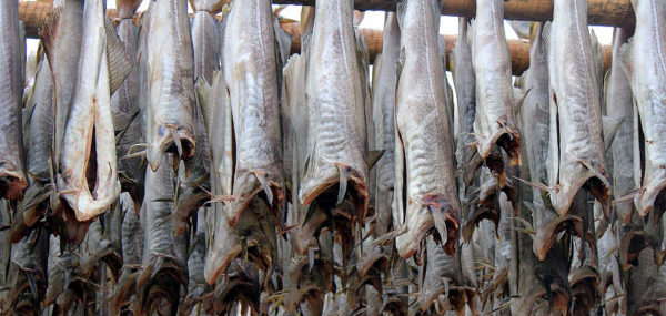 baccalà fresco castroneria stoccafisso