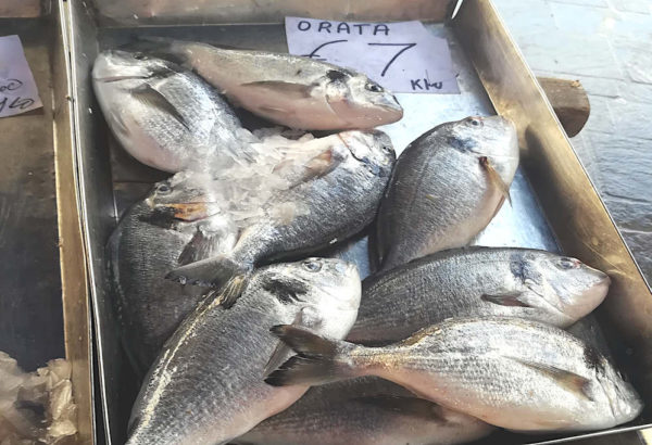 mercato di Marsaxlokk malta orate in vendita sui banchi