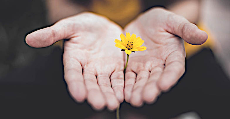 Non mi avvalgo della virtù cristiana del perdono mano con fiore