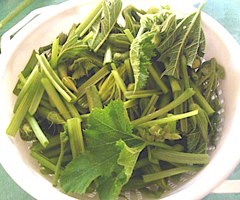 Delle zucchine non si butta via mai niente 