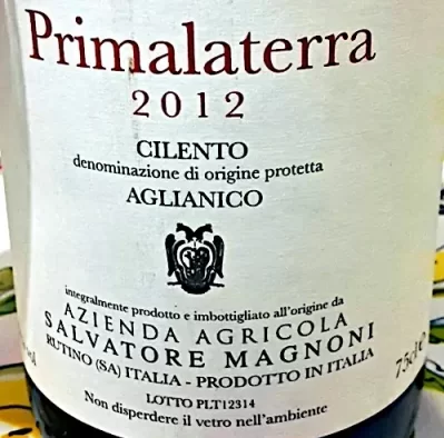 Estetica delle etichette del vino naturale primalaterra salvatore magnoni