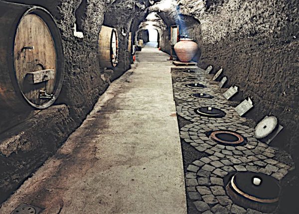 Bianco Torretta 2020 di riccardo magno grottaferrata Roma cantina botti anfore