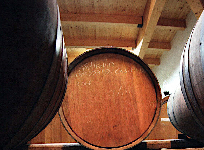 Nelle terre di bacco Bruno de Conciliis cantina e botti