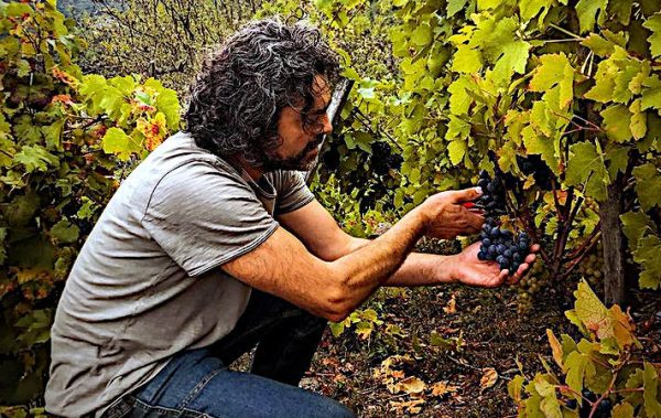 Ramìe 2019 di Daniele Coutandin lavoro in vigna