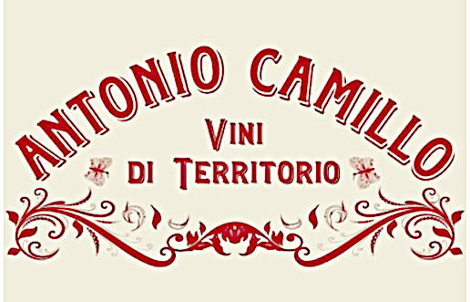 Ciliegiolo Principio 2021 Antonio Camillo logo azienda
