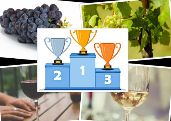 Classifica di Gastrodelirio dei migliori vini naturali di inizio 2022