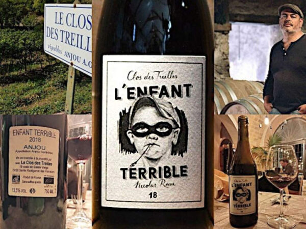 Classifica dei migliori vini naturali bevuti nel 2022 Enfant terrible 2018 Anjou 