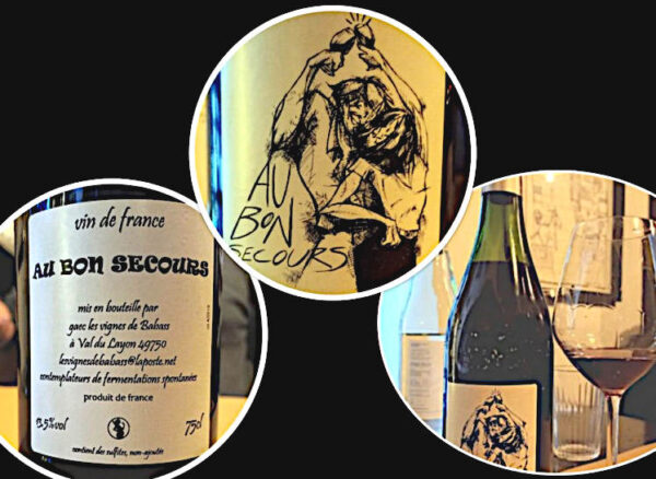Classifica dei migliori vini naturali bevuti nel 2022 au Bon Secours gastrodelirio