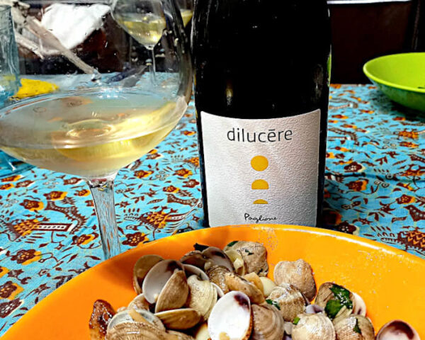 Dilucere paglione lucera primo piano con vongole e calice vino naturale