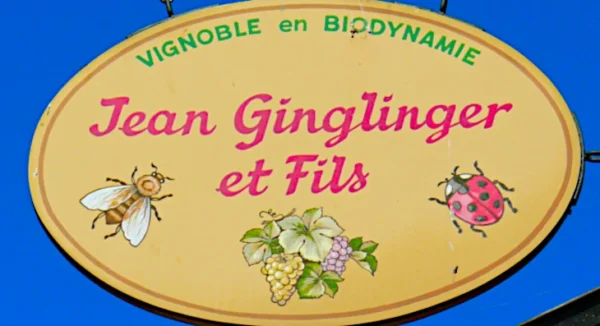 Gewurztraminer di Jean Ginglinger insegna del domaine
