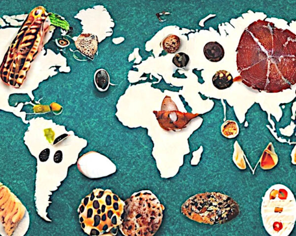 l'omologazione del gusto nel cibo e nella ristorazione industriale planisfero