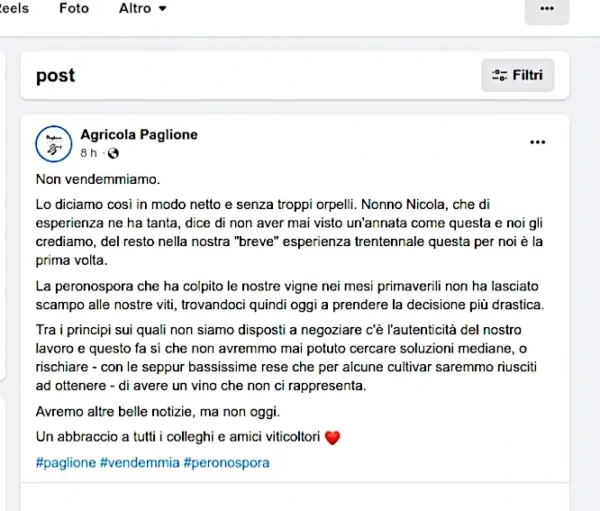 2023 una annata senza vendemmia post su facebook agricola paglione