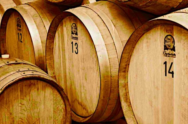 Azienda agricola San Ruggiero Barletta i custodi del Nero di Troia