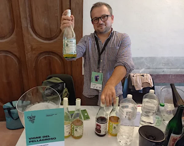 Enorme piccolo salone del vino artigianale considerazioni