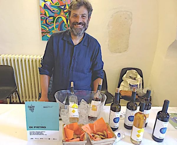 Enorme piccolo salone del vino artigianale considerazioni