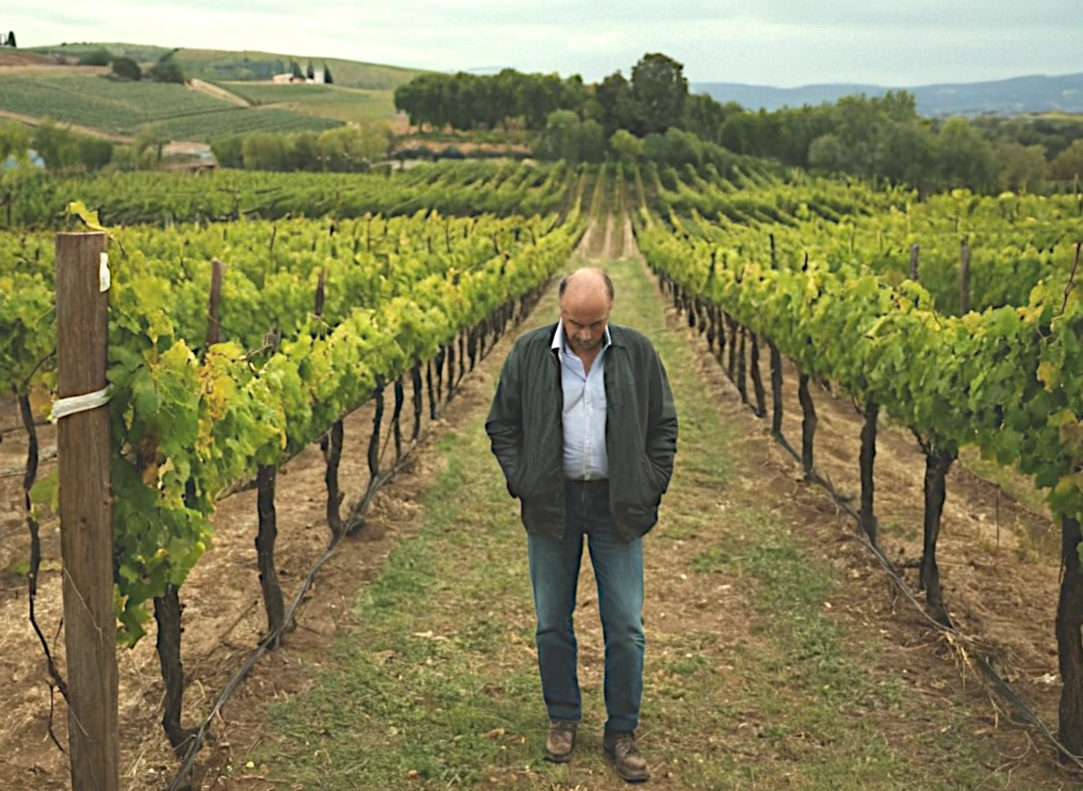 Perché si beve sempre meno vino: uomo in un vigneto