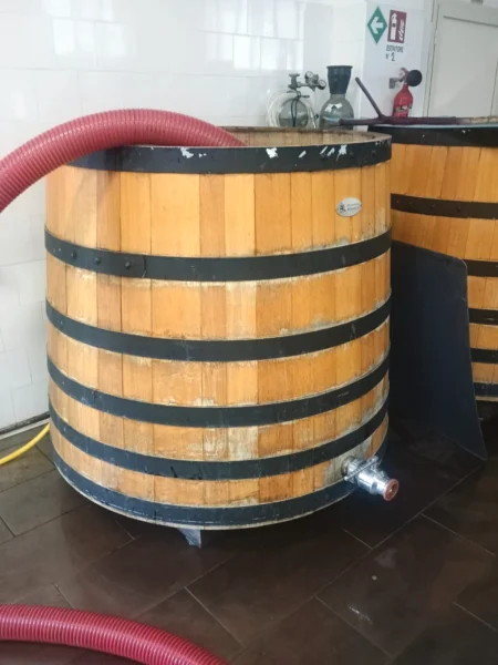 ino nella cantina 2Vite durante la vendemmia