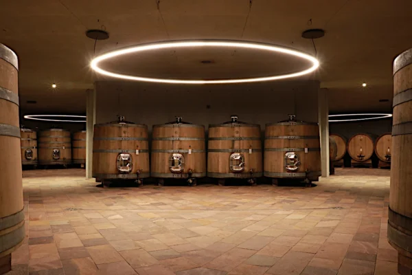 Cantina di Damijan Podversic con grandi tini di legno