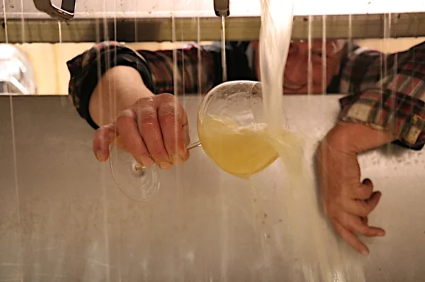 Damijan Podversic in cantina durante il lavoro sul vino