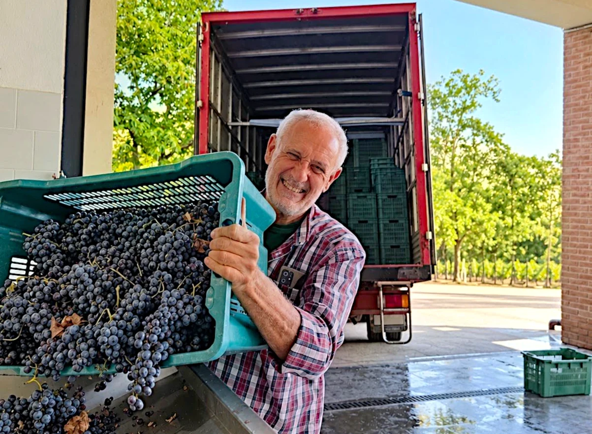 Raccontare il vino durante la vendemmia a Taurasi